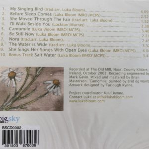 Before Sleep Comes (CD)